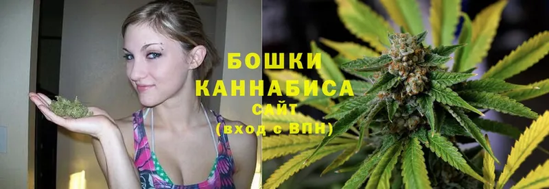 MEGA маркетплейс  Бабушкин  Бошки Шишки SATIVA & INDICA 